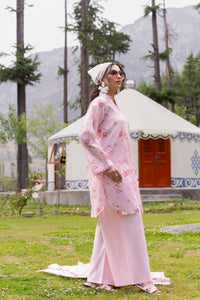 Naaze Gul-08
