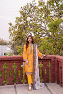 Gulkari-02