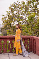 Gulkari-02