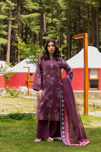 Naaze Gul-05